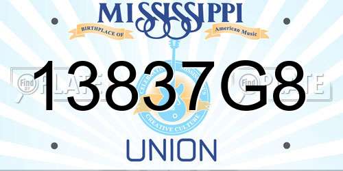 13837G8 Mississippi License Plate