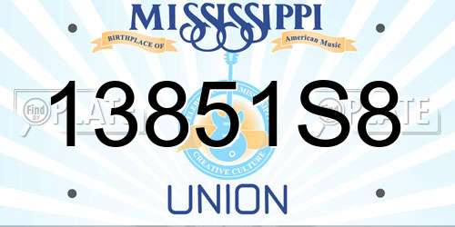 13851S8 Mississippi License Plate