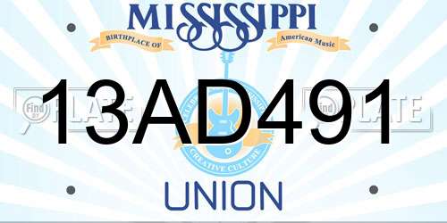 13AD491 Mississippi License Plate