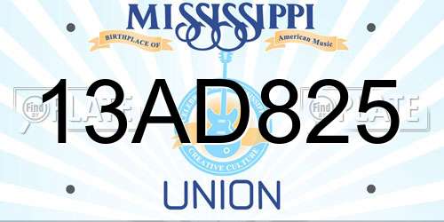 13AD825 Mississippi License Plate