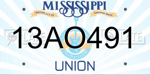 13AO491 Mississippi License Plate