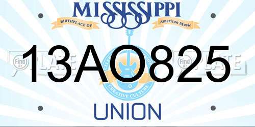 13AO825 Mississippi License Plate