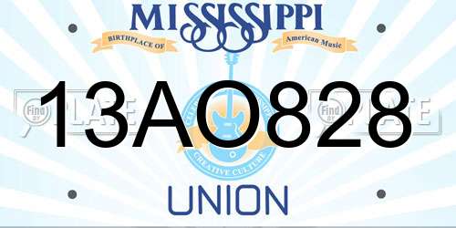 13AO828 Mississippi License Plate