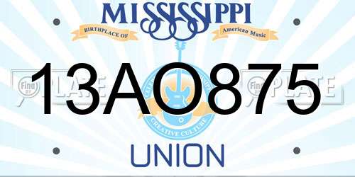 13AO875 Mississippi License Plate