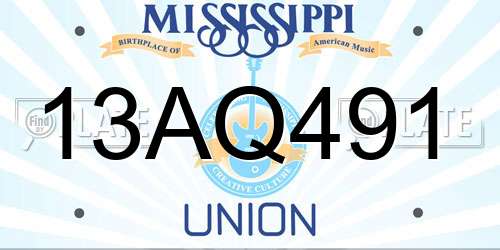 13AQ491 Mississippi License Plate