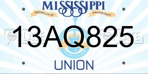13AQ825 Mississippi License Plate
