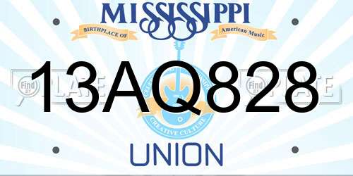 13AQ828 Mississippi License Plate