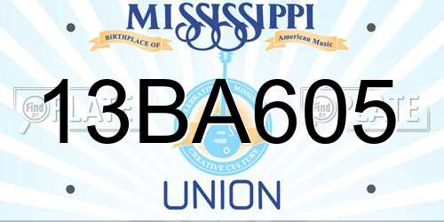 13BA605 Mississippi License Plate