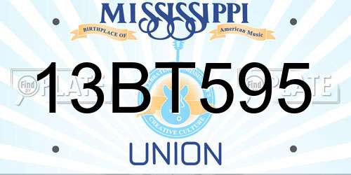 13BT595 Mississippi License Plate