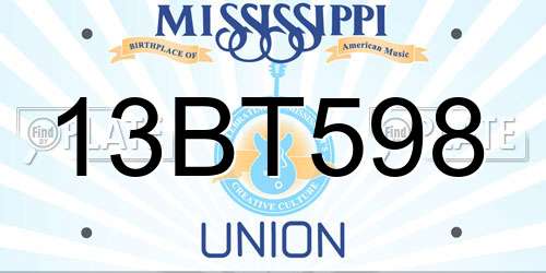 13BT598 Mississippi License Plate