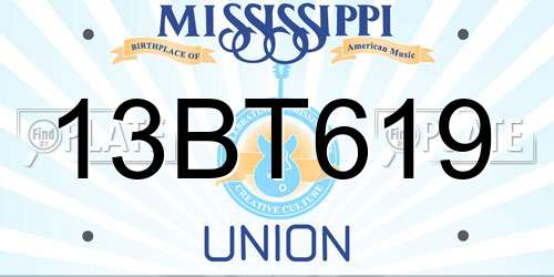 13BT619 Mississippi License Plate