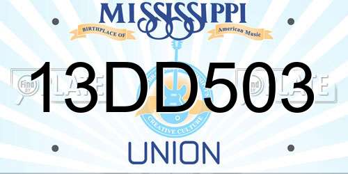 13DD503 Mississippi License Plate