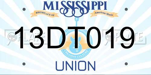13DT019 Mississippi License Plate