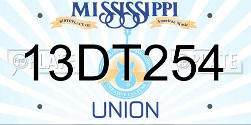 13DT254 Mississippi License Plate
