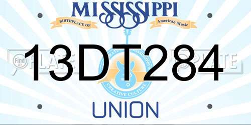 13DT284 Mississippi License Plate