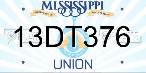 13DT376 Mississippi License Plate