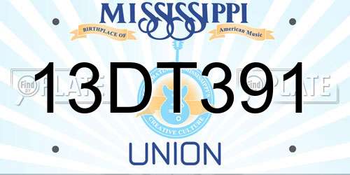 13DT391 Mississippi License Plate