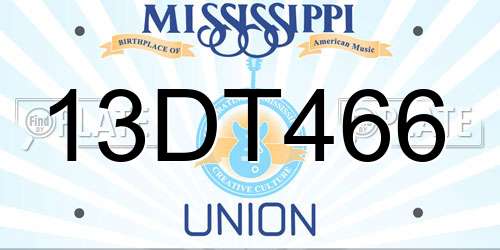 13DT466 Mississippi License Plate