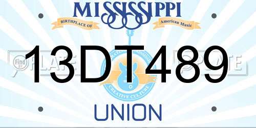 13DT489 Mississippi License Plate