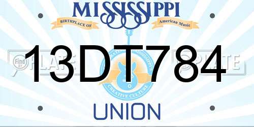13DT784 Mississippi License Plate
