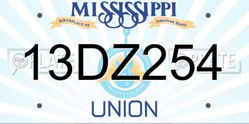 13DZ254 Mississippi License Plate