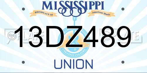 13DZ489 Mississippi License Plate
