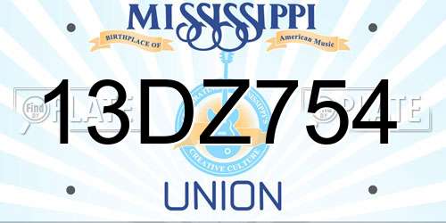 13DZ754 Mississippi License Plate