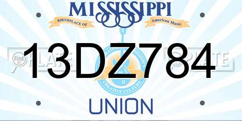 13DZ784 Mississippi License Plate