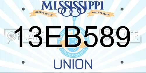 13EB589 Mississippi License Plate
