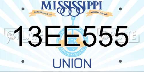 13EE555 Mississippi License Plate