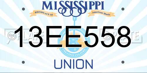 13EE558 Mississippi License Plate