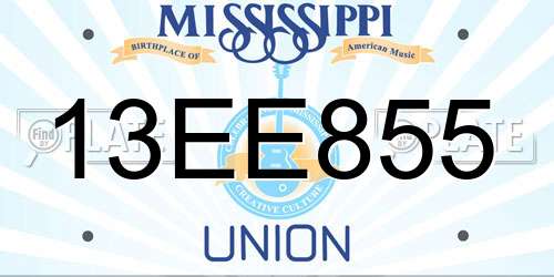 13EE855 Mississippi License Plate