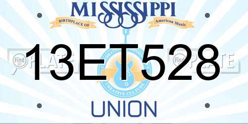 13ET528 Mississippi License Plate