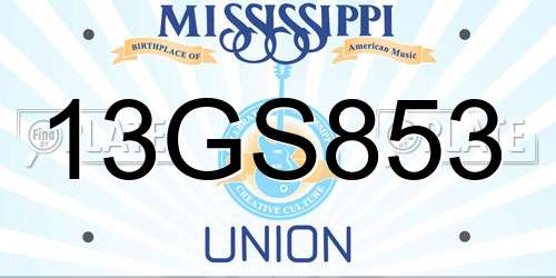 13GS853 Mississippi License Plate