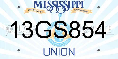 13GS854 Mississippi License Plate