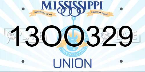 13OO329 Mississippi License Plate