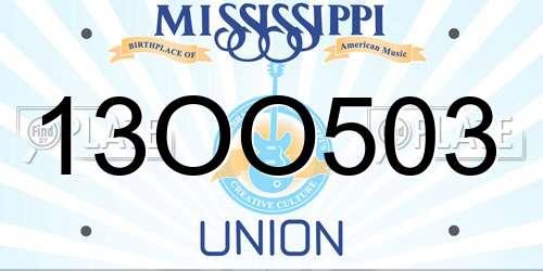 13OO503 Mississippi License Plate