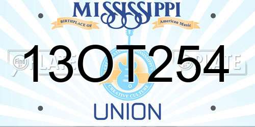 13OT254 Mississippi License Plate