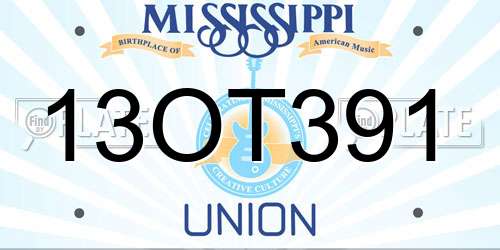 13OT391 Mississippi License Plate