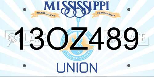 13OZ489 Mississippi License Plate
