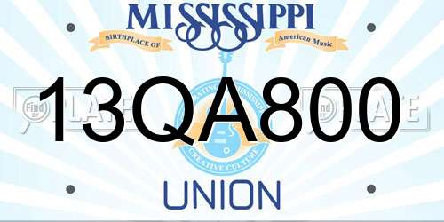 13QA800 Mississippi License Plate