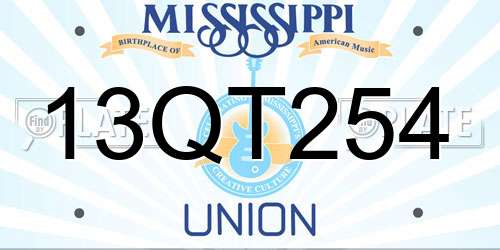 13QT254 Mississippi License Plate