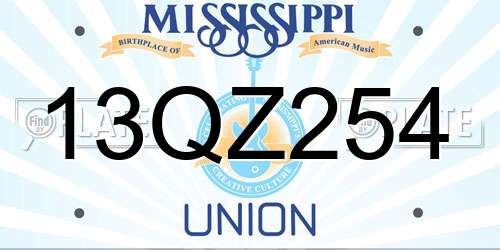 13QZ254 Mississippi License Plate
