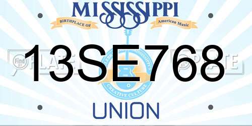 13SE768 Mississippi License Plate