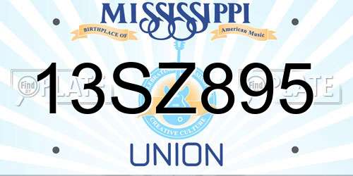 13SZ895 Mississippi License Plate