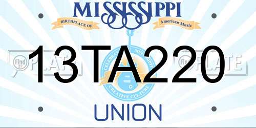 13TA220 Mississippi License Plate