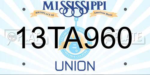 13TA960 Mississippi License Plate