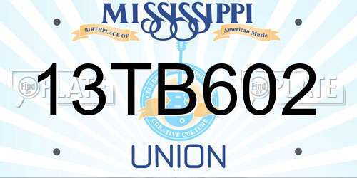 13TB602 Mississippi License Plate