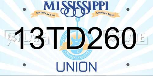 13TD260 Mississippi License Plate