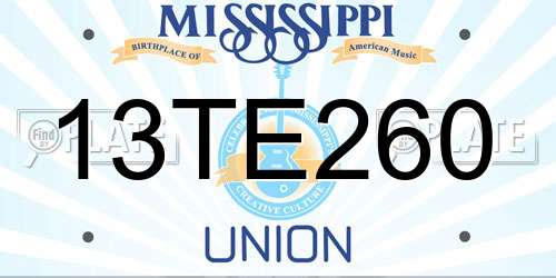 13TE260 Mississippi License Plate